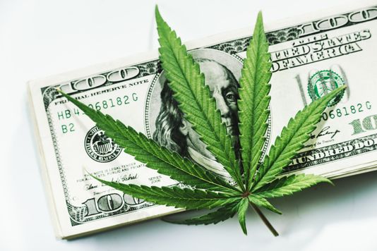 Top CBD Stocks this Week to Watch: MediPharm Labs and CV Sciences